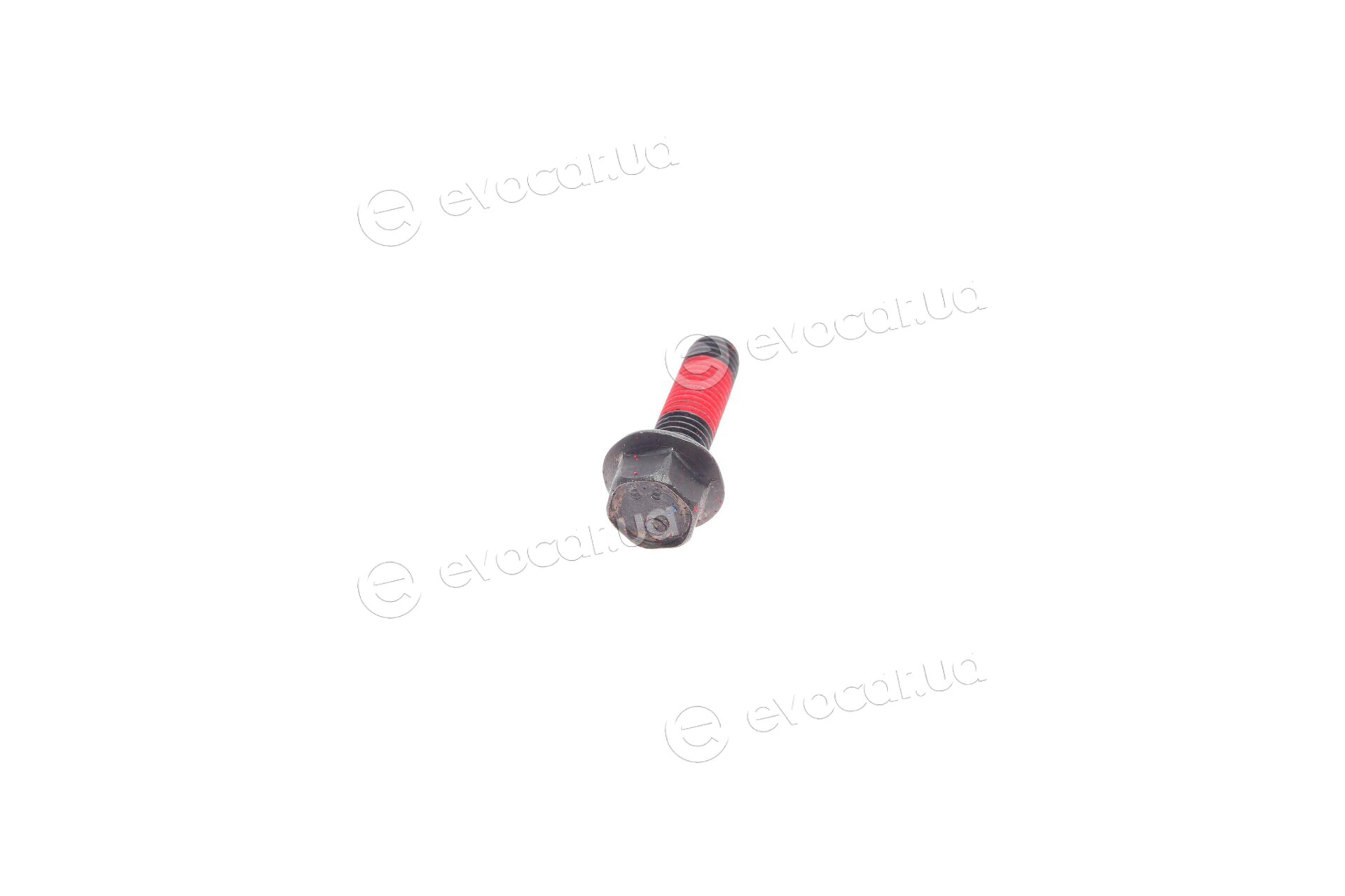 Continental CT1010WP1