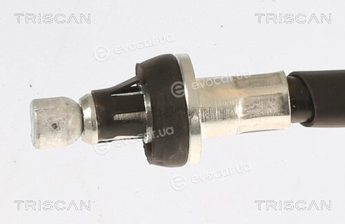 Triscan 8140 141170