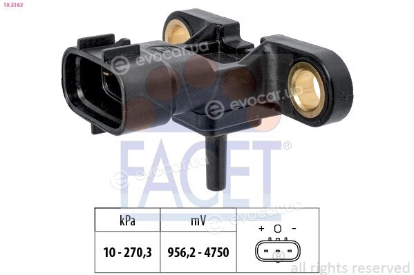Facet 10.3163