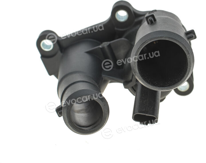 Mahle TM 31 98