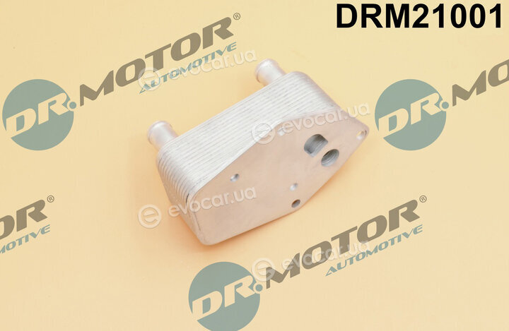 Dr. Motor DRM21001