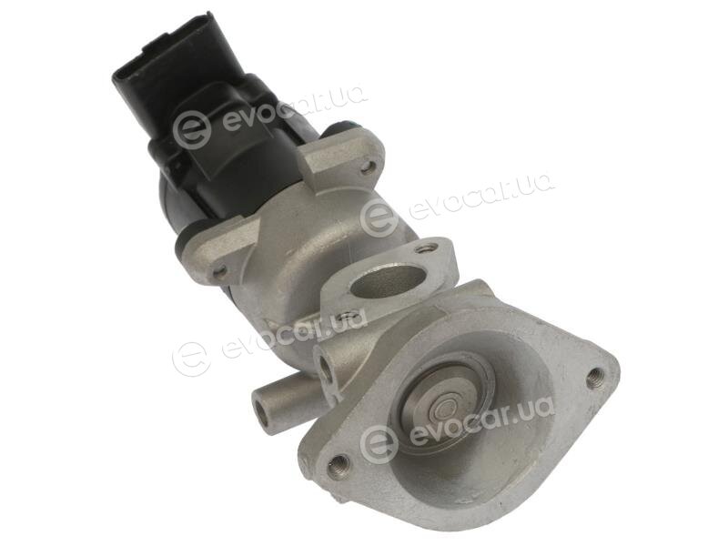 Starline ED STEG113-N