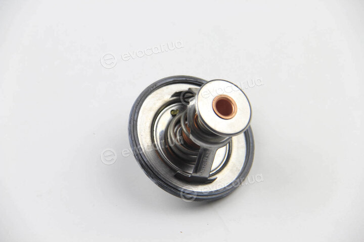 Motorad 534-82K
