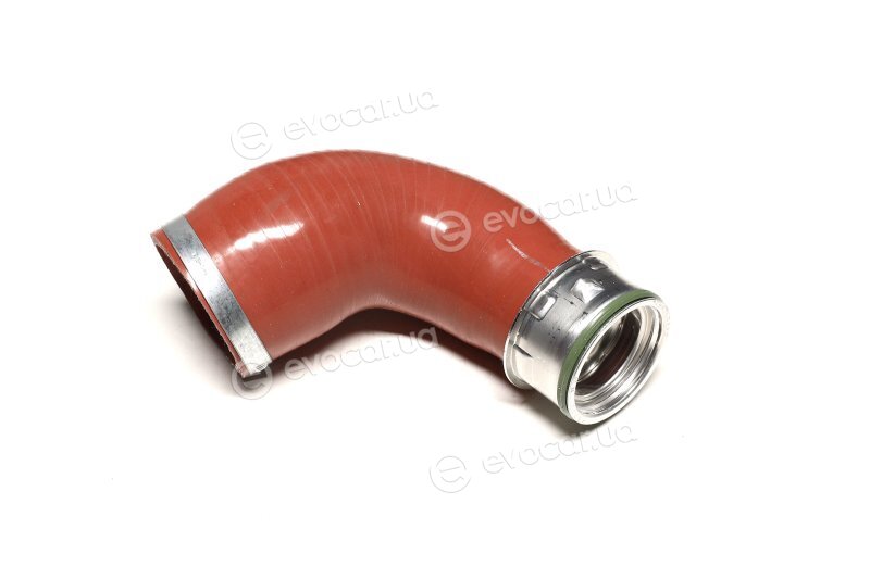 Sasic 3336023