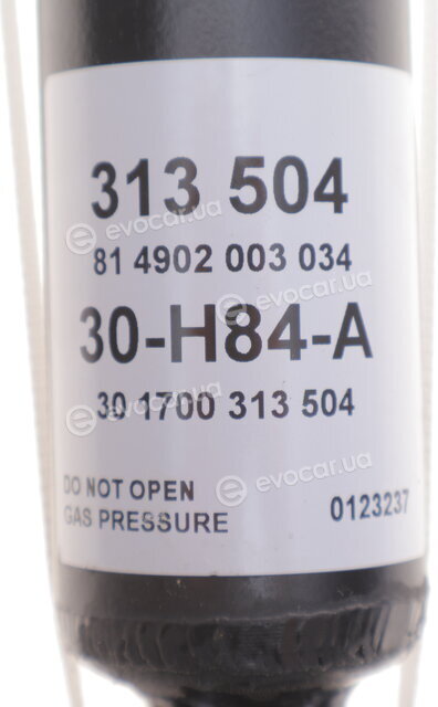 Sachs 313 504