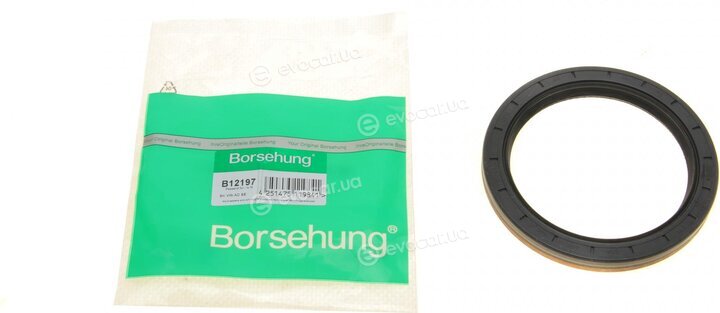 Borsehung B12197