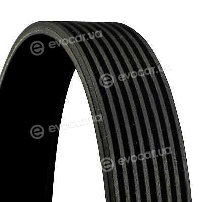 Continental 8PK1646