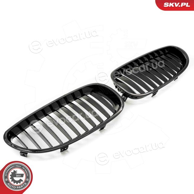 SKV 66SKV165