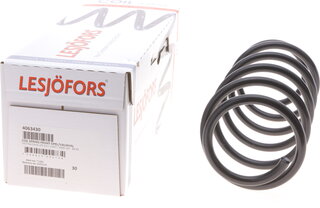 Lesjofors 4063430