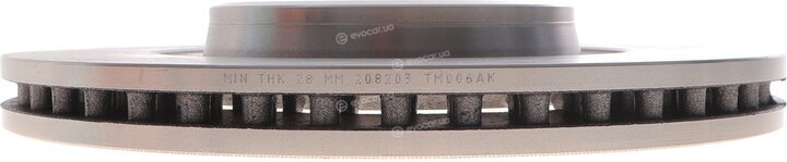 Solgy 208203