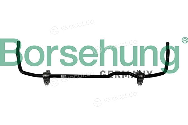 Borsehung B12629