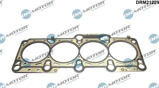 Dr. Motor DRM21229