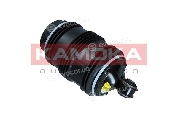 Kamoka 2079053