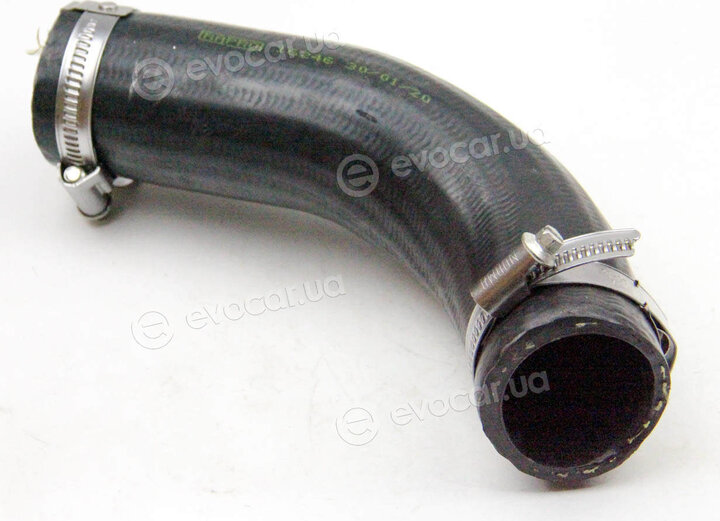 Rapro R16246