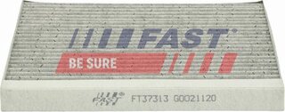 Fast FT37313