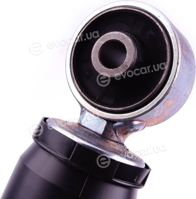 Sachs 313 484