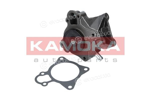 Kamoka T0097