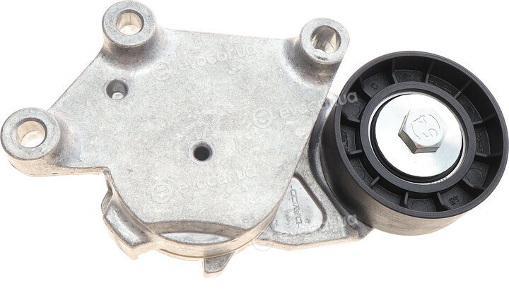 Gates K016PK975