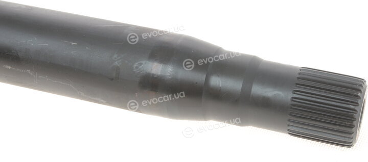 Solgy 216005