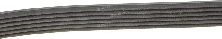 Dayco 6PK2460