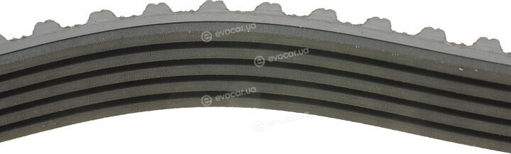 Dayco 94386