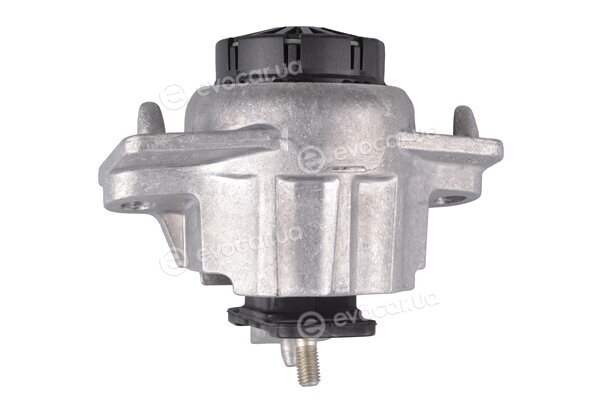 Tedgum TED69852