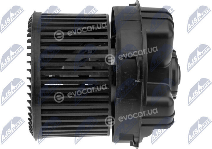 NTY EWN-CT-004