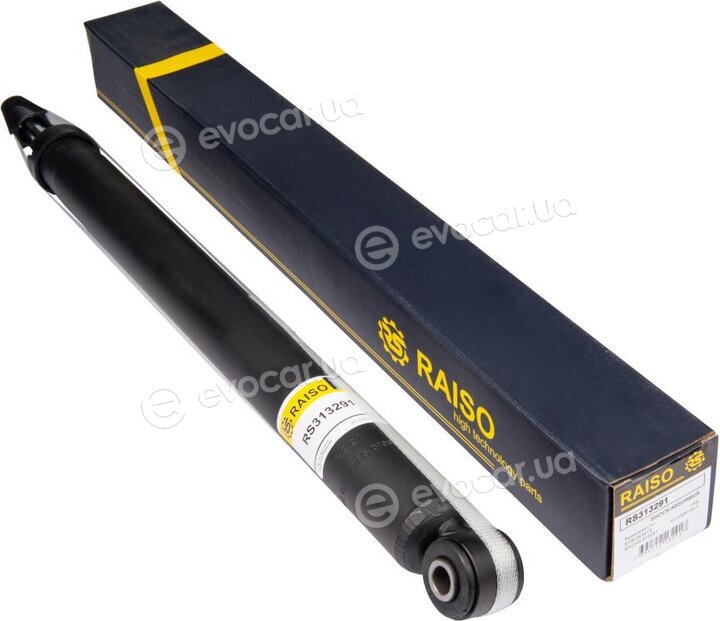 Raiso RS313291