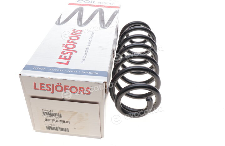 Lesjofors 4295110