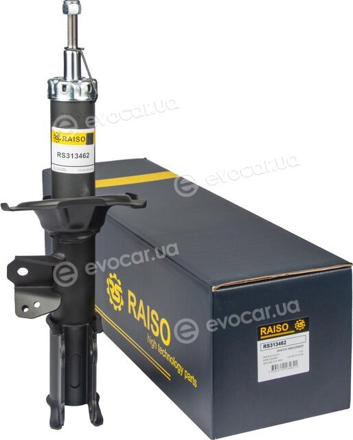 Raiso RS313462