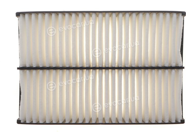 Solgy 103184