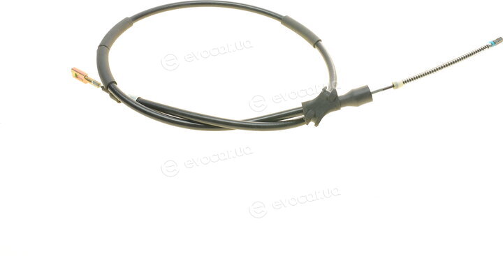 AIC 50982