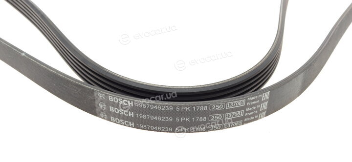 Bosch 1 987 946 239