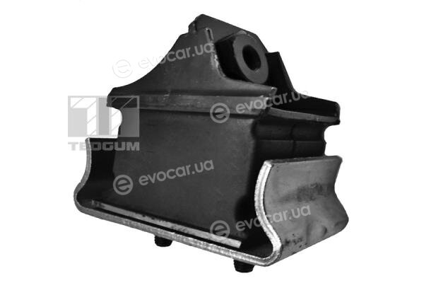 Tedgum 00416326