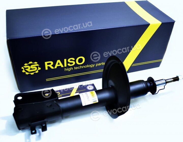 Raiso RS310767