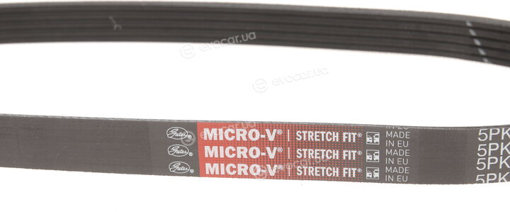 Gates 5PK716SF