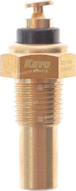 Kavo ECT-1002