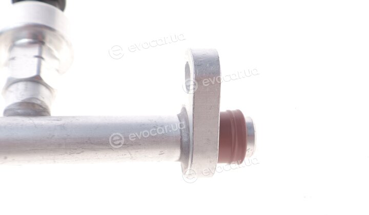 AIC 55221
