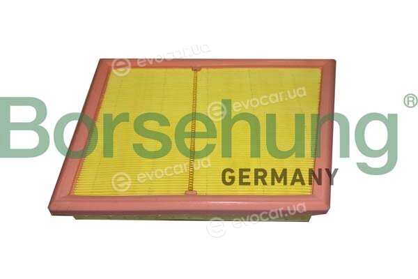 Borsehung B12451