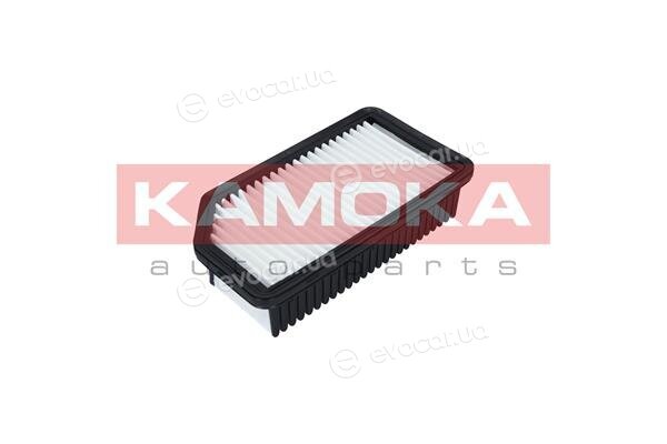 Kamoka F226201