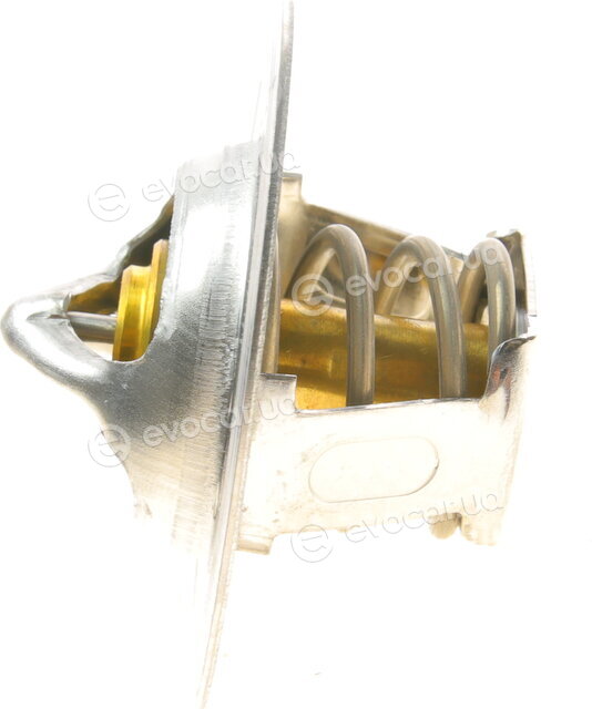 Wahler / BorgWarner 3167.83D