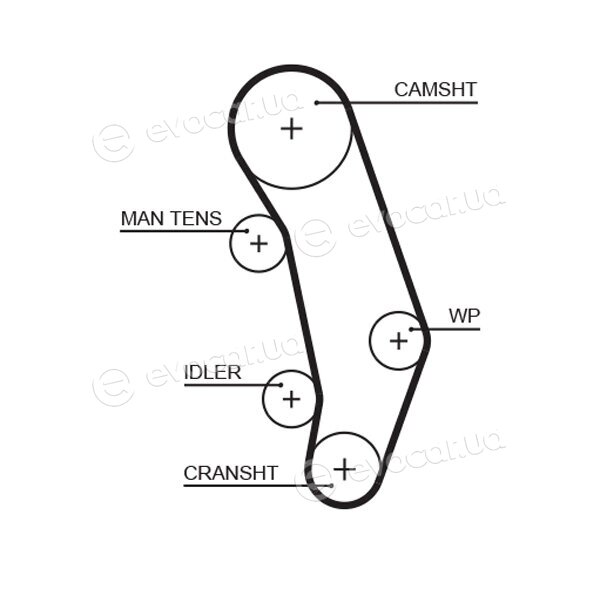 Gates K015346XS