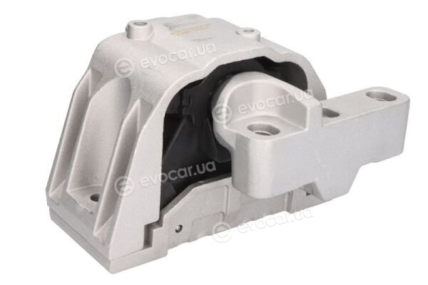 Reinhoch RH11-0166