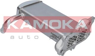 Kamoka 19C069