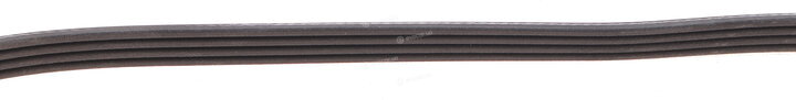 Dayco 4PK905