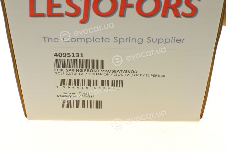 Lesjofors 4095131