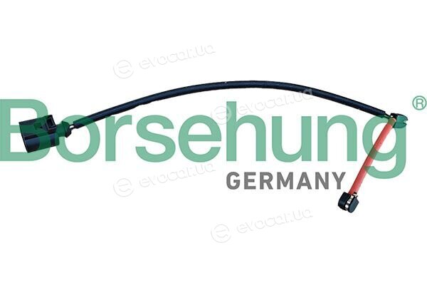 Borsehung B13387