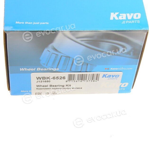 Kavo WBK-6526