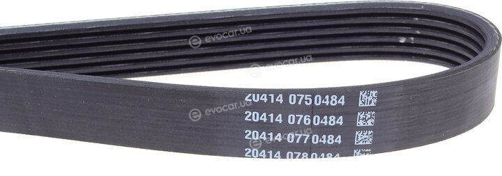 Dayco 6PK1173