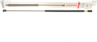Lesjofors 8095005